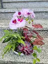 20250429_175521.webp