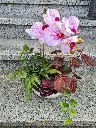 20250429_175424.webp