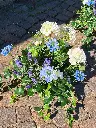 20250513_100304.webp