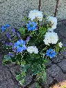 20250513_100327.webp