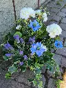 20250513_100320.webp
