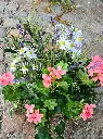 20250513_124027.webp