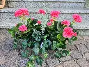20250513_171428.webp