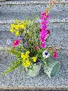 20240809_102146.webp