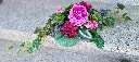 20250812_135604.webp