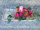 20250825_163815.webp