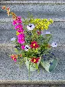 20240809_102213.webp