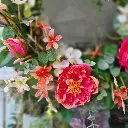 20230520_115600.webp