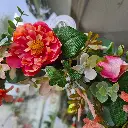 20230520_115531.webp