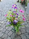 20250429_115907.webp