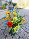 20250429_120547.webp