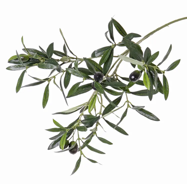 Olivenzweig 104 Blätter, 6 Oliven, 55 cm.webp
