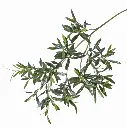 Olivenzweig mit 234 Blättern, 90 cm UV-sicher.webp