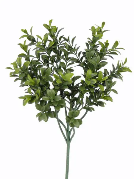 Buchszweig, x36 47cm, UV-sicher.webp