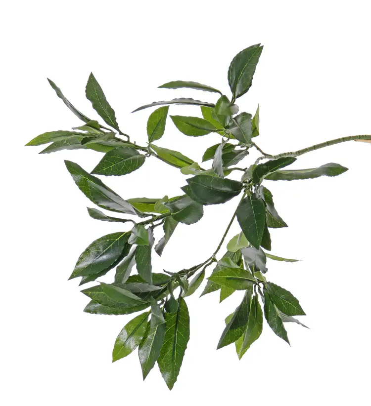Lorbeerblattzweig, 74 Blätter, 48 cm - UV sicher.webp