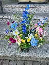 20250428_115924.webp