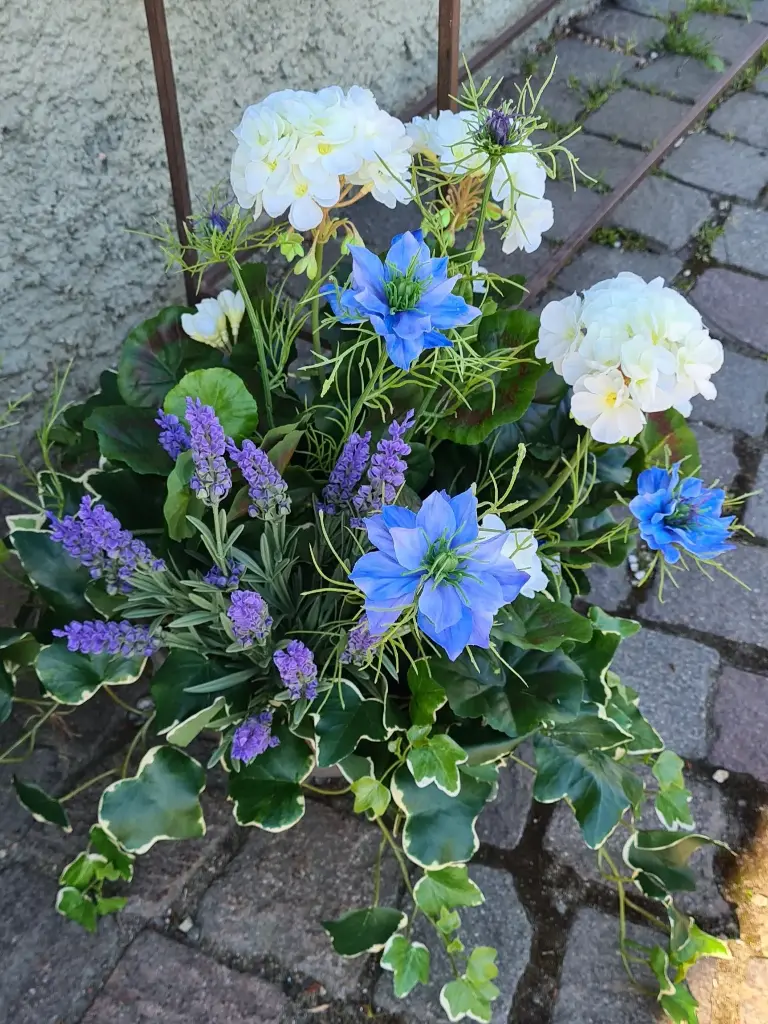 Gesteck Geranien in weiß / blau