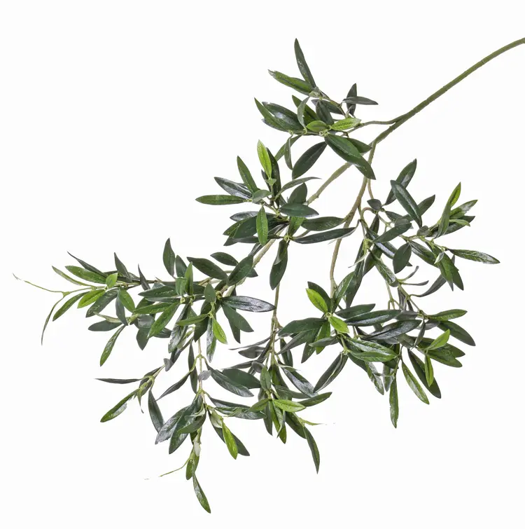 Grünzweig Olive UV-Schutz