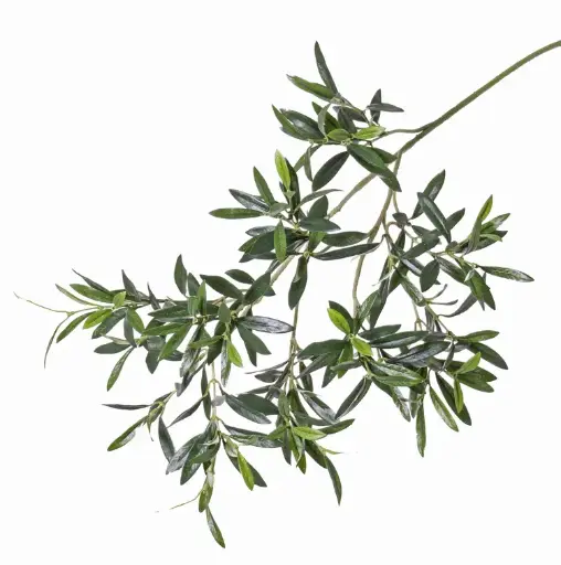 Grünzweig Olive UV-Schutz